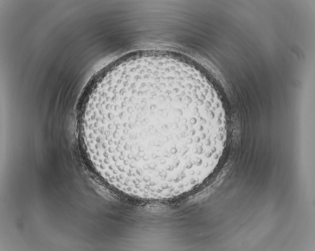 X0000110740974200907271058