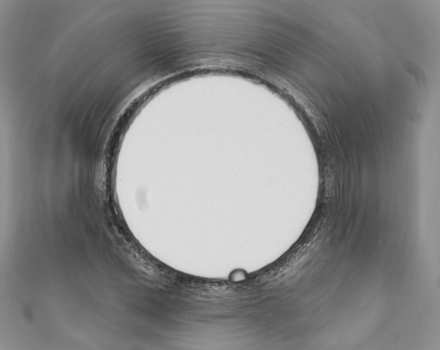 X0000110740975200907271058