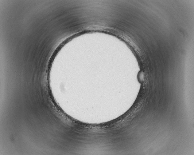 X0000110740976200907271058
