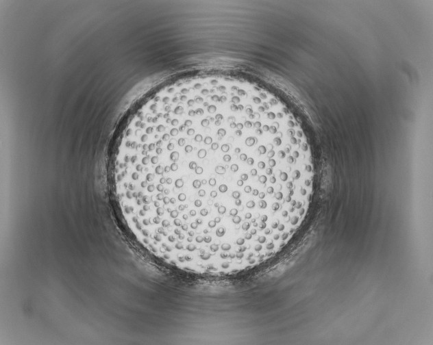 X0000110740978200907271058