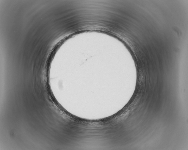 X0000110740979200907271058