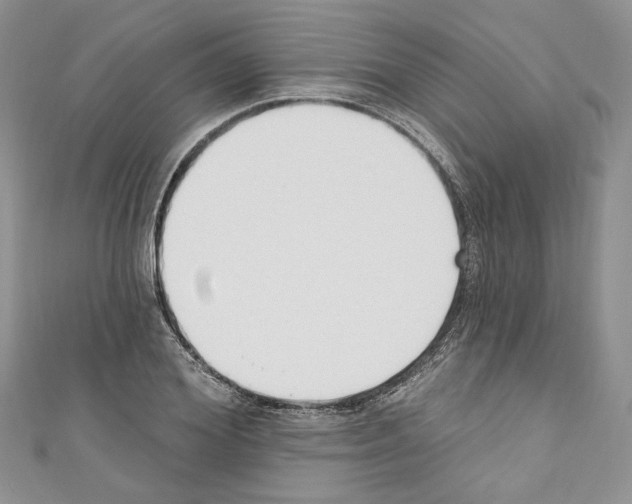 X0000110740980200907271058