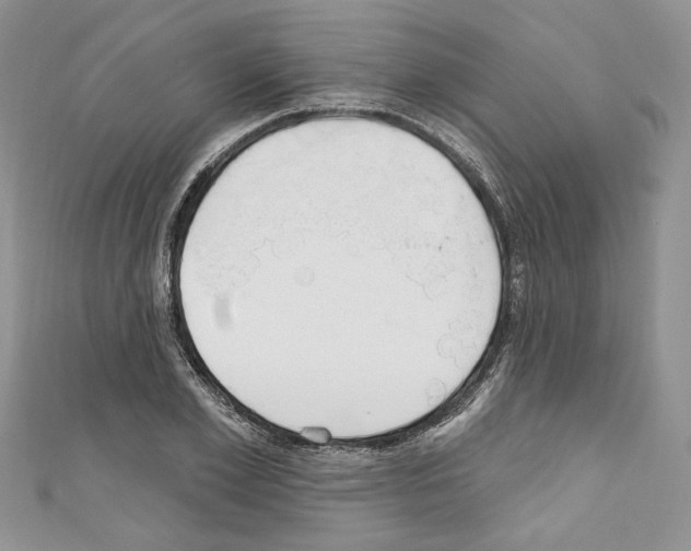 X0000110740981200907271058