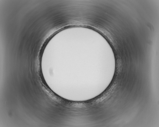 X0000110740982200907271058