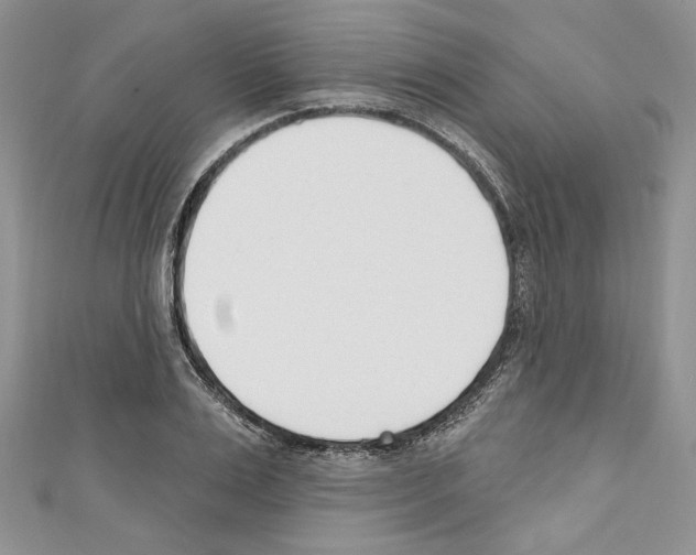 X0000110740983200907271058