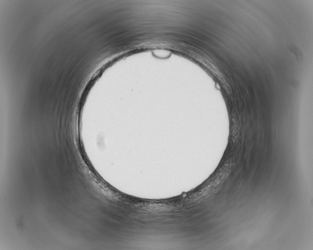 X0000110740984200907271058