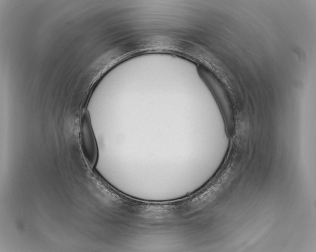 X0000110740985200907271058