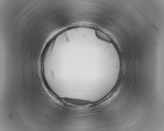 X0000110740989200907271058