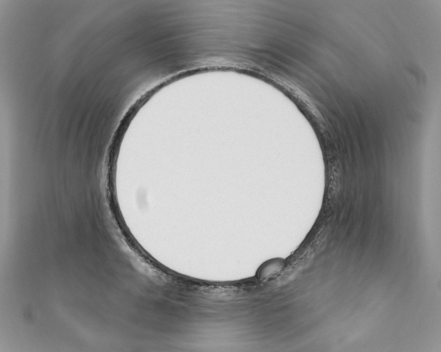 X0000110740991200907271058