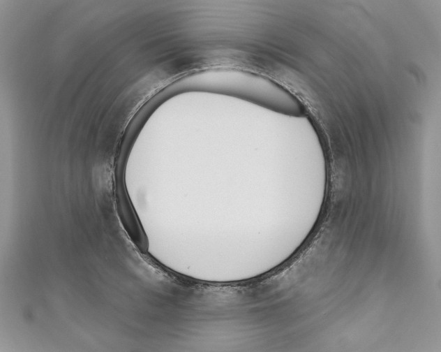 X0000110740993200907271058