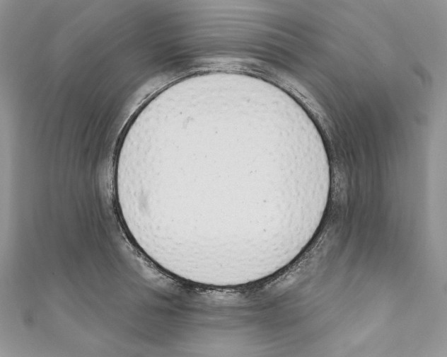 X0000110740994200907271058
