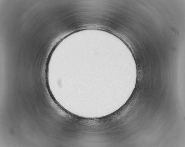 X0000110740995200907271058