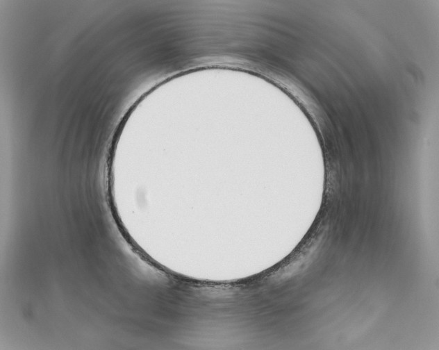 X0000110740999200907271058