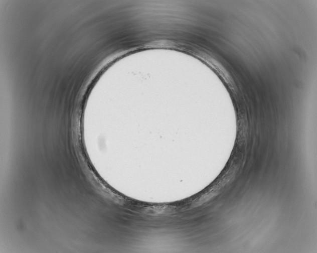 X0000110741000200907271058