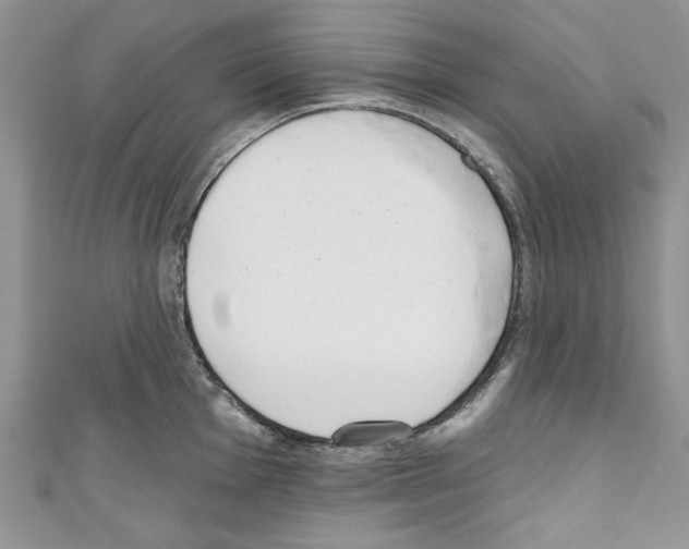 X0000110741001200907271058