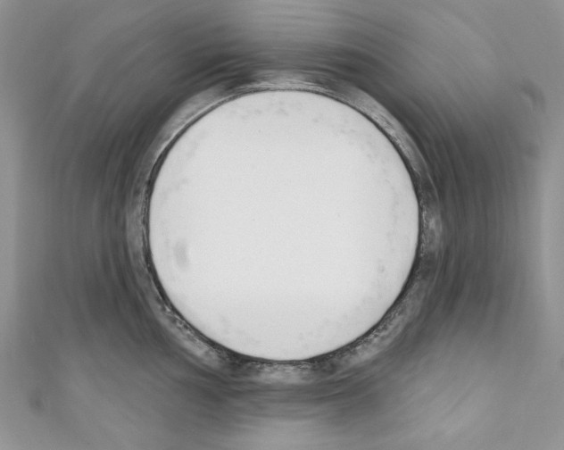 X0000110741002200907271058