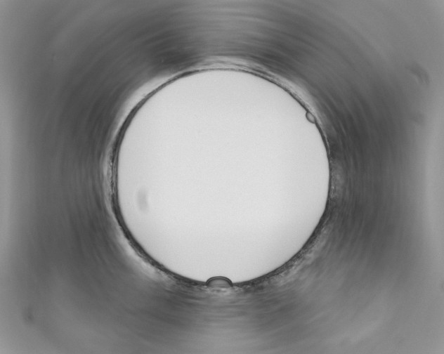 X0000110741003200907271058
