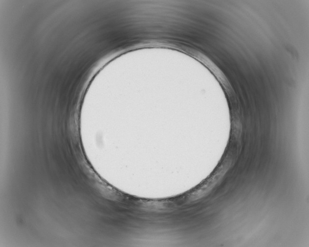 X0000110741004200907271058