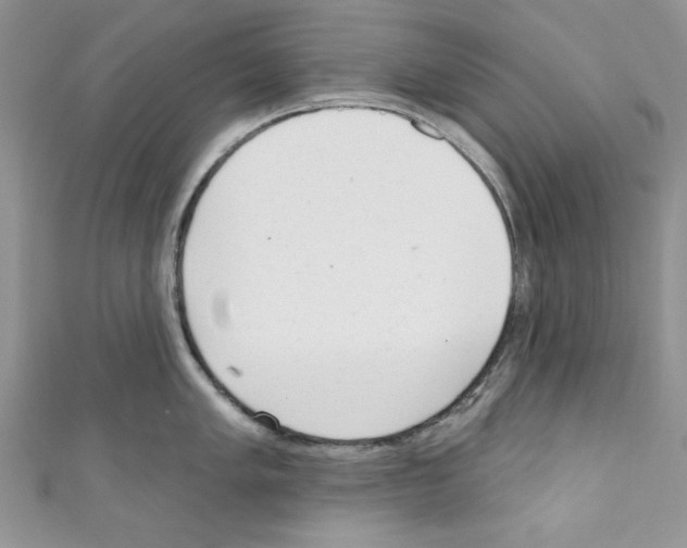 X0000110741005200907271058