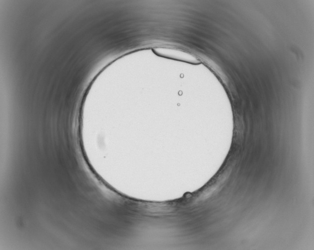 X0000110741007200907271058