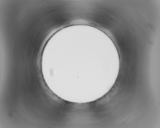 X0000110741008200907271058