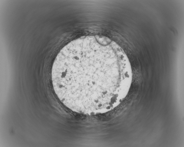 X0000110741009200907271057
