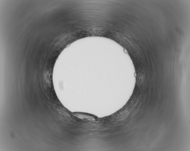 X0000110741010200907271057