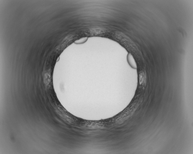 X0000110741011200907271057
