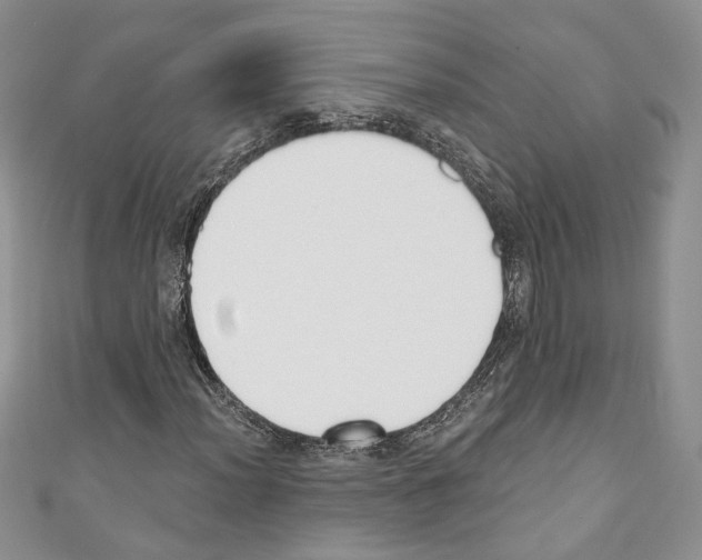 X0000110741012200907271057