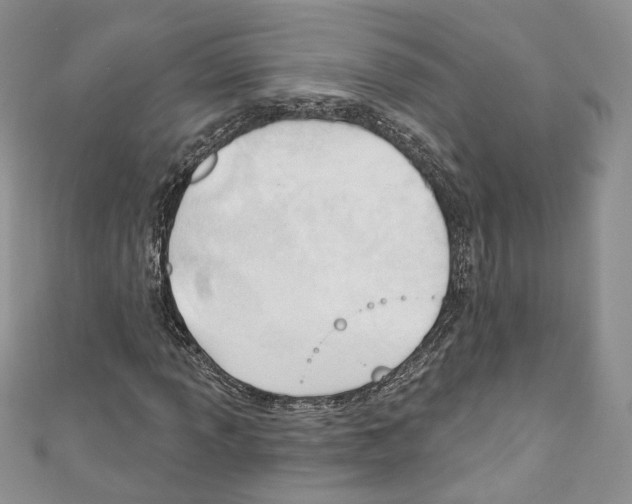 X0000110741013200907271057