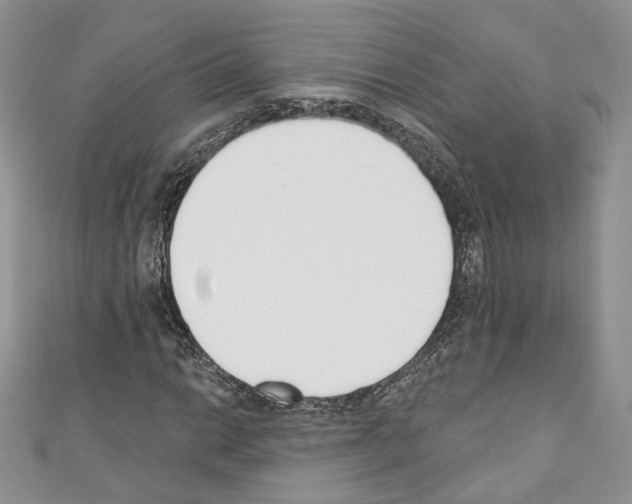 X0000110741014200907271057