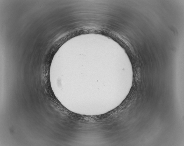 X0000110741015200907271057