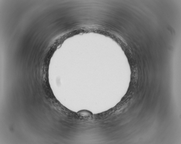 X0000110741016200907271057