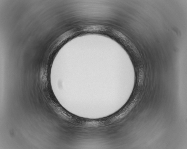 X0000110741017200907271057
