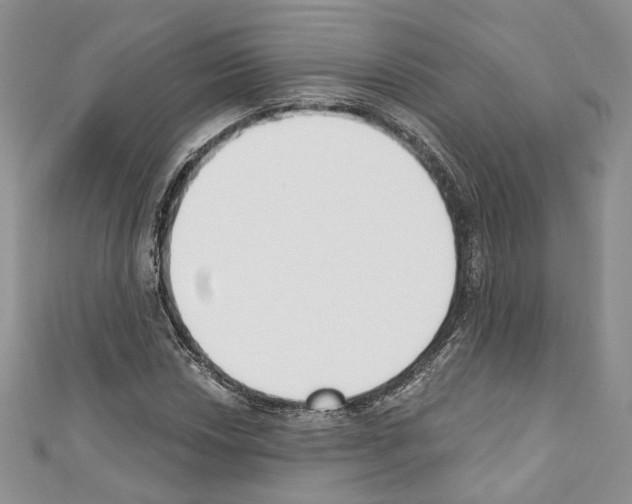 X0000110741018200907271057