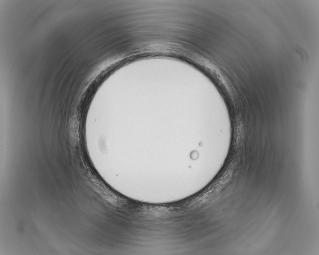 X0000110741019200907271057