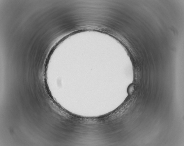 X0000110741020200907271057