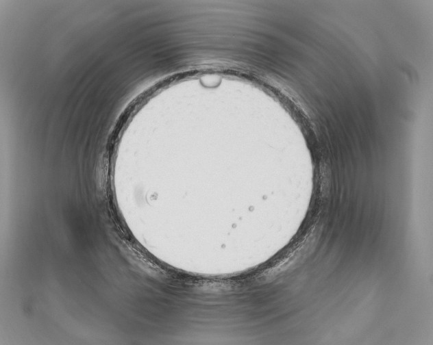 X0000110741021200907271057