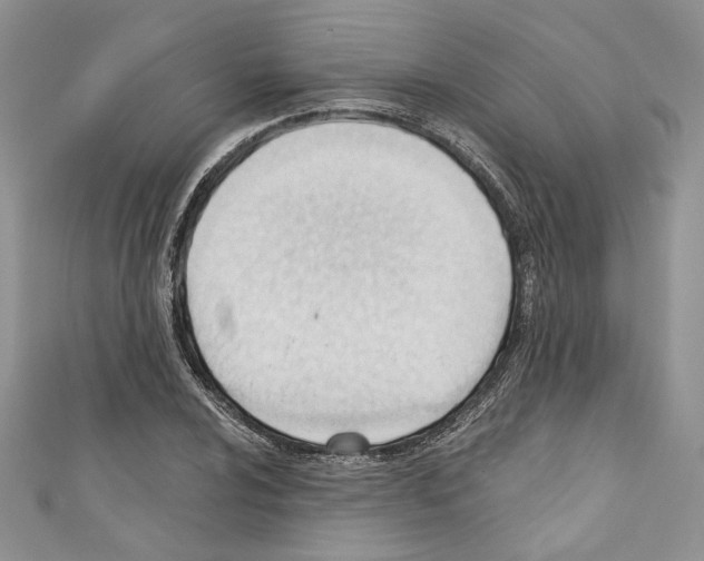 X0000110741024200907271057