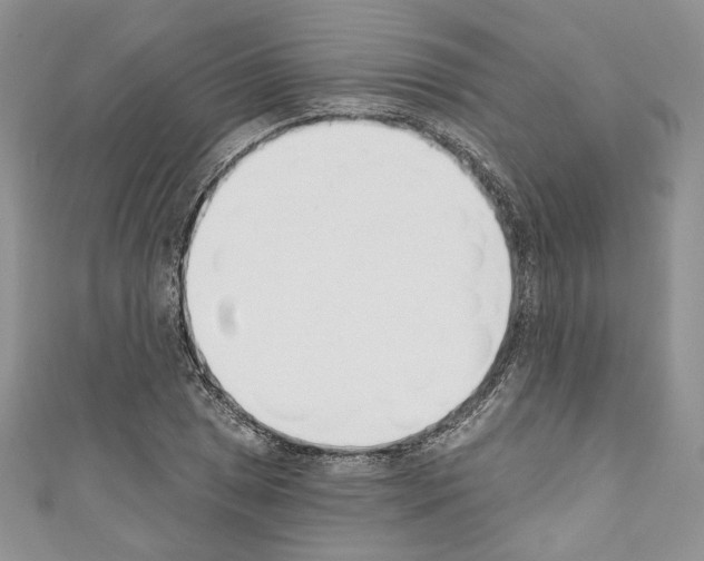 X0000110741025200907271057