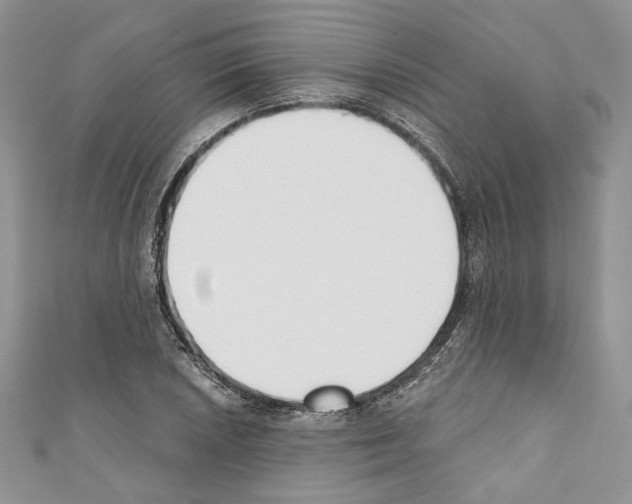 X0000110741026200907271057