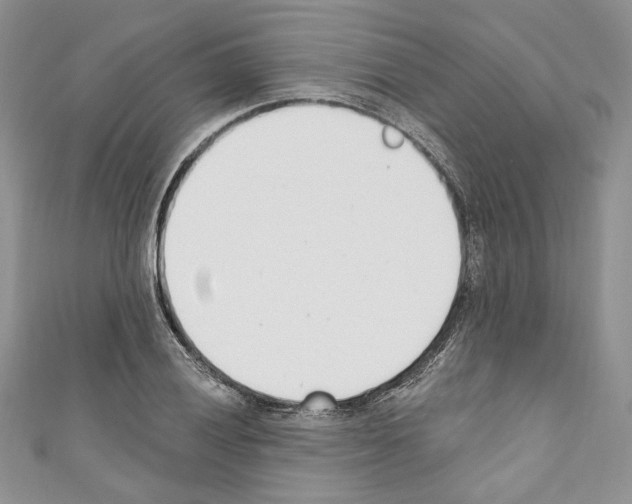 X0000110741028200907271057