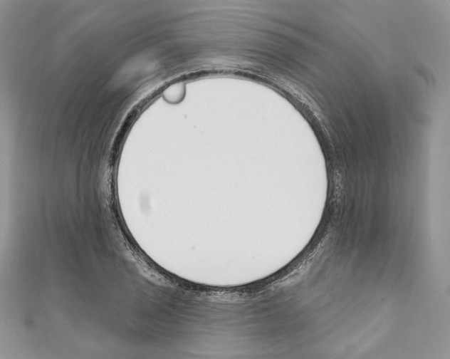 X0000110741029200907271057