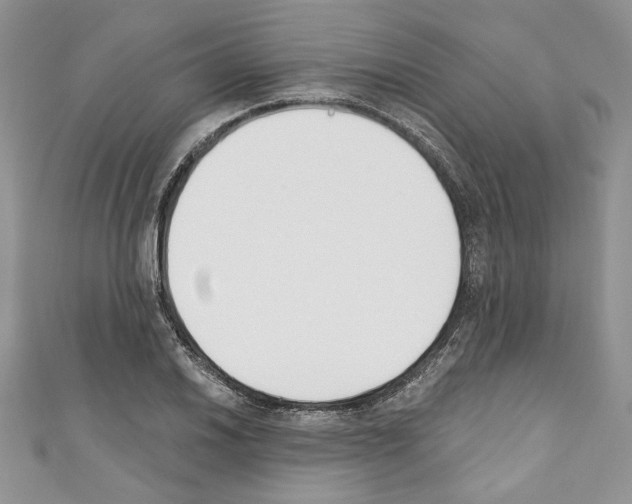 X0000110741030200907271057