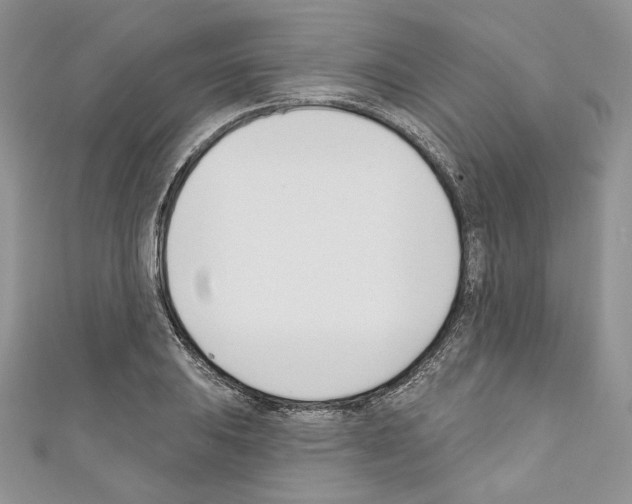 X0000110741031200907271057
