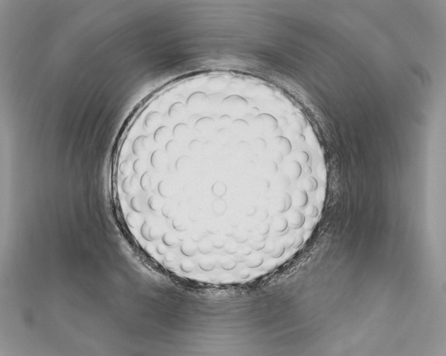 X0000110741032200907271057