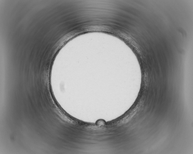 X0000110741033200907271057