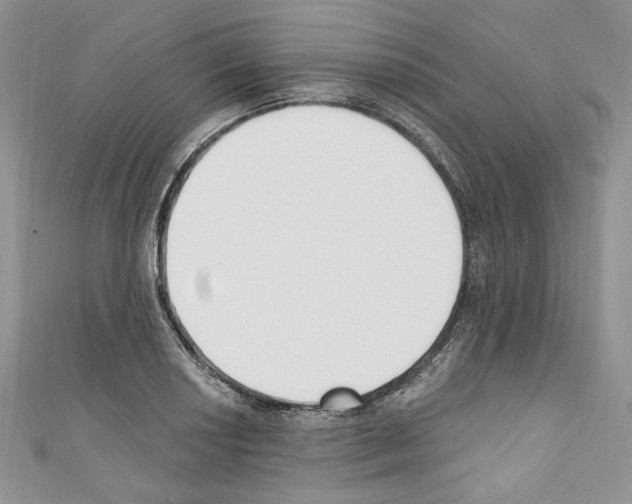 X0000110741034200907271057