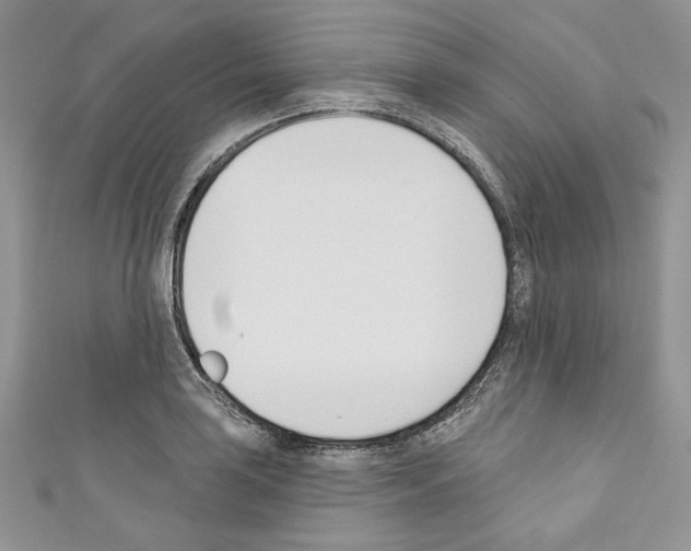 X0000110741035200907271057