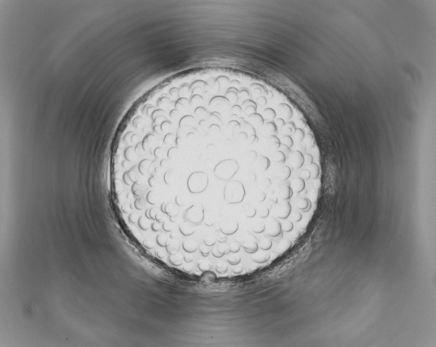 X0000110741036200907271057